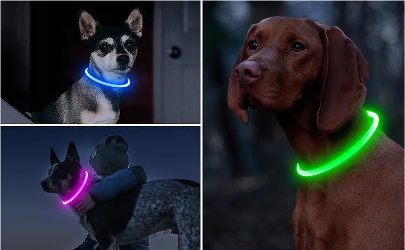 Led Dog Collar Luminous Usb Cat Dog Collar 3 Modes Led Light Glowing Loss Prevention LED Collar For Dogs Pet Dog Accessories - Checkouts UK