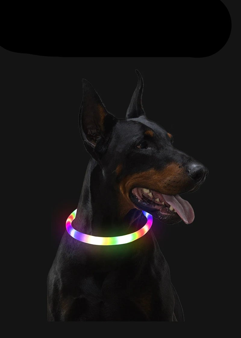 Led Dog Collar Luminous Usb Cat Dog Collar 3 Modes Led Light Glowing Loss Prevention LED Collar For Dogs Pet Dog Accessories - Checkouts UK