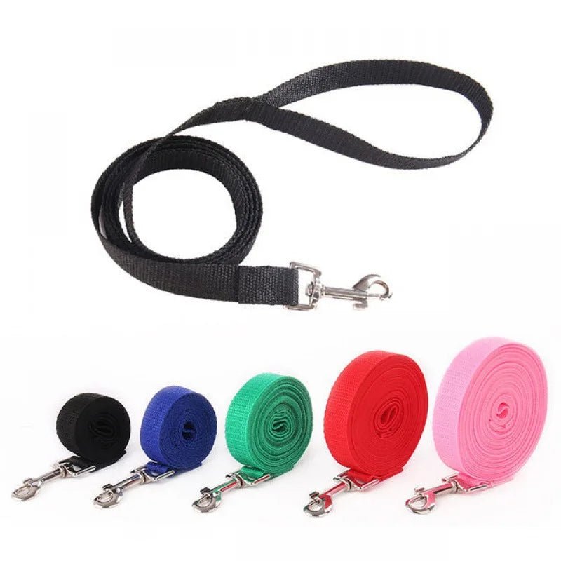 Longer Pet Leashes Rope Outdoor Training Running Dog Leash Belt PP Dogs Lead for Chihuahua Small and Large Dog Product - Checkouts UK