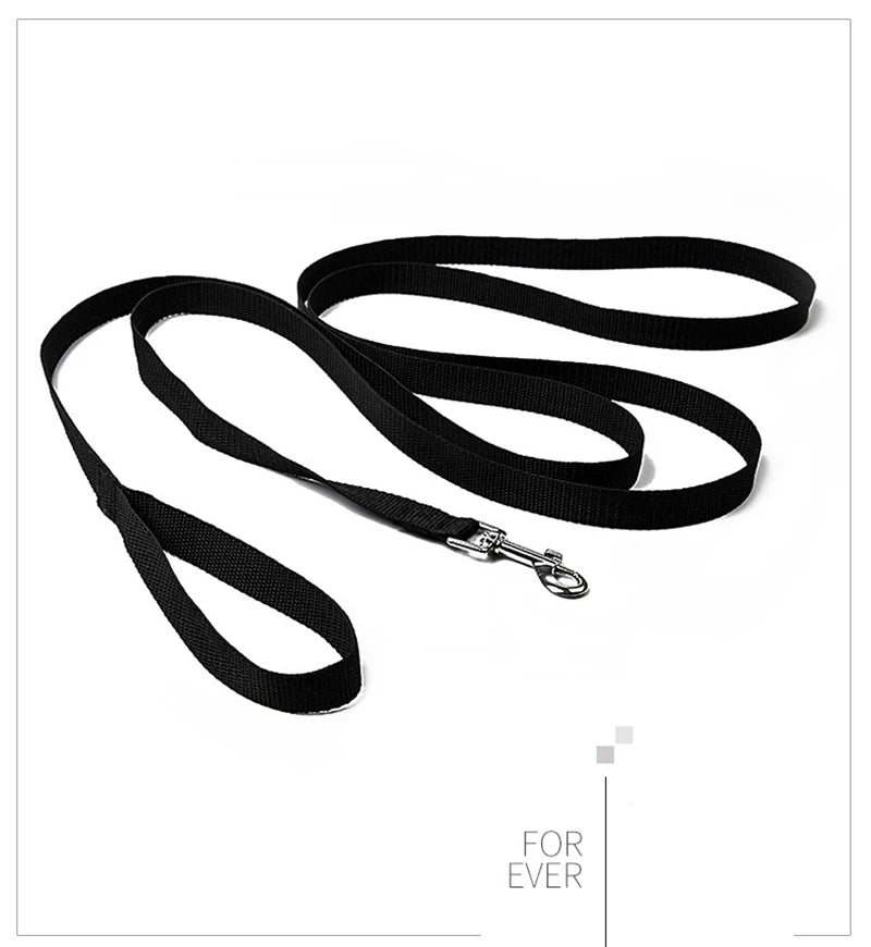 Longer Pet Leashes Rope Outdoor Training Running Dog Leash Belt PP Dogs Lead for Chihuahua Small and Large Dog Product - Checkouts UK