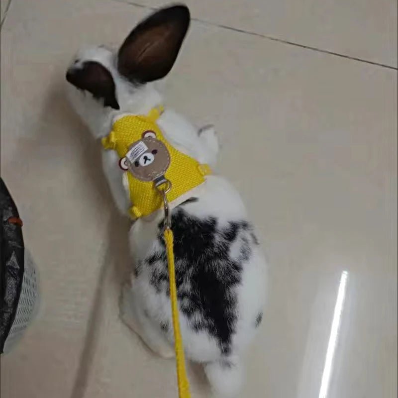 Newest Cute Rabbit Harness and Leash Set Bunny Pet Accessories Vest Harnesses Rabbit Leashes for Outdoor Walking Pets Supplies - Furbury