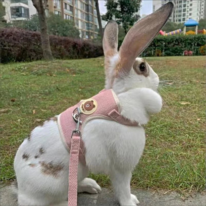 Newest Cute Rabbit Harness and Leash Set Bunny Pet Accessories Vest Harnesses Rabbit Leashes for Outdoor Walking Pets Supplies - Furbury