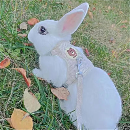 Newest Cute Rabbit Harness and Leash Set Bunny Pet Accessories Vest Harnesses Rabbit Leashes for Outdoor Walking Pets Supplies - Furbury