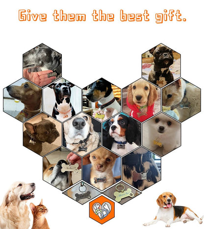 Personalized Pet Dog Tag Shiny Steel Free Engraving Kitten Puppy Anti - lost Collars Nameplate for Dog Address Tag Pet Accessoires - Furbury