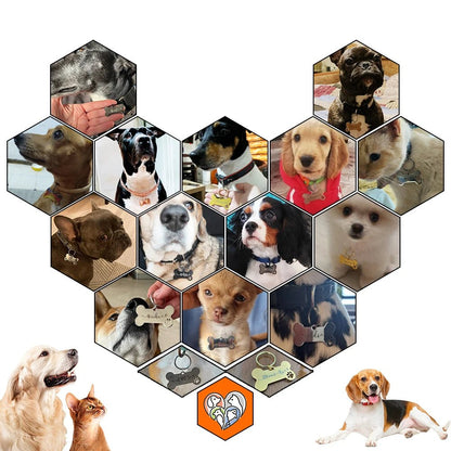 Personalized Pet Dog Tag Shiny Steel Free Engraving Kitten Puppy Anti - lost Collars Nameplate for Dog Address Tag Pet Accessoires - Furbury