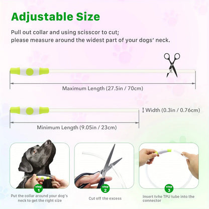 Pet Dog LED Light Collar Luminous Anti - Lost Dog Collar USB Rechargeable Dog Necklace Collar - Furbury