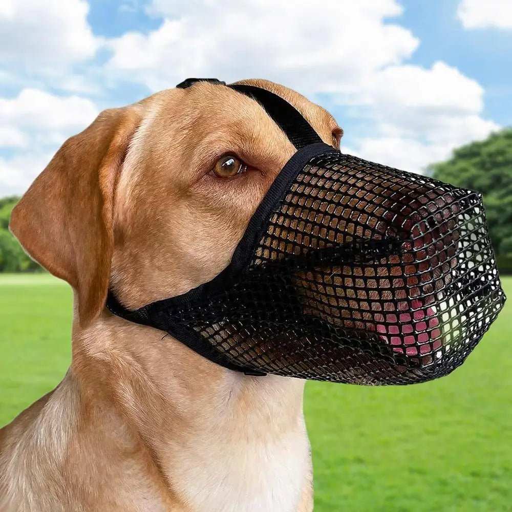 Pet Dog Muzzles Adjustable Breathable Dog Mouth Cover Anti Bark Bite Mesh Dogs Mouth Muzzle Mask For Dogs Long Mouth Doggy Use - Checkouts UK