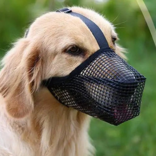 Pet Dog Muzzles Adjustable Breathable Dog Mouth Cover Anti Bark Bite Mesh Dogs Mouth Muzzle Mask For Dogs Long Mouth Doggy Use - Checkouts UK