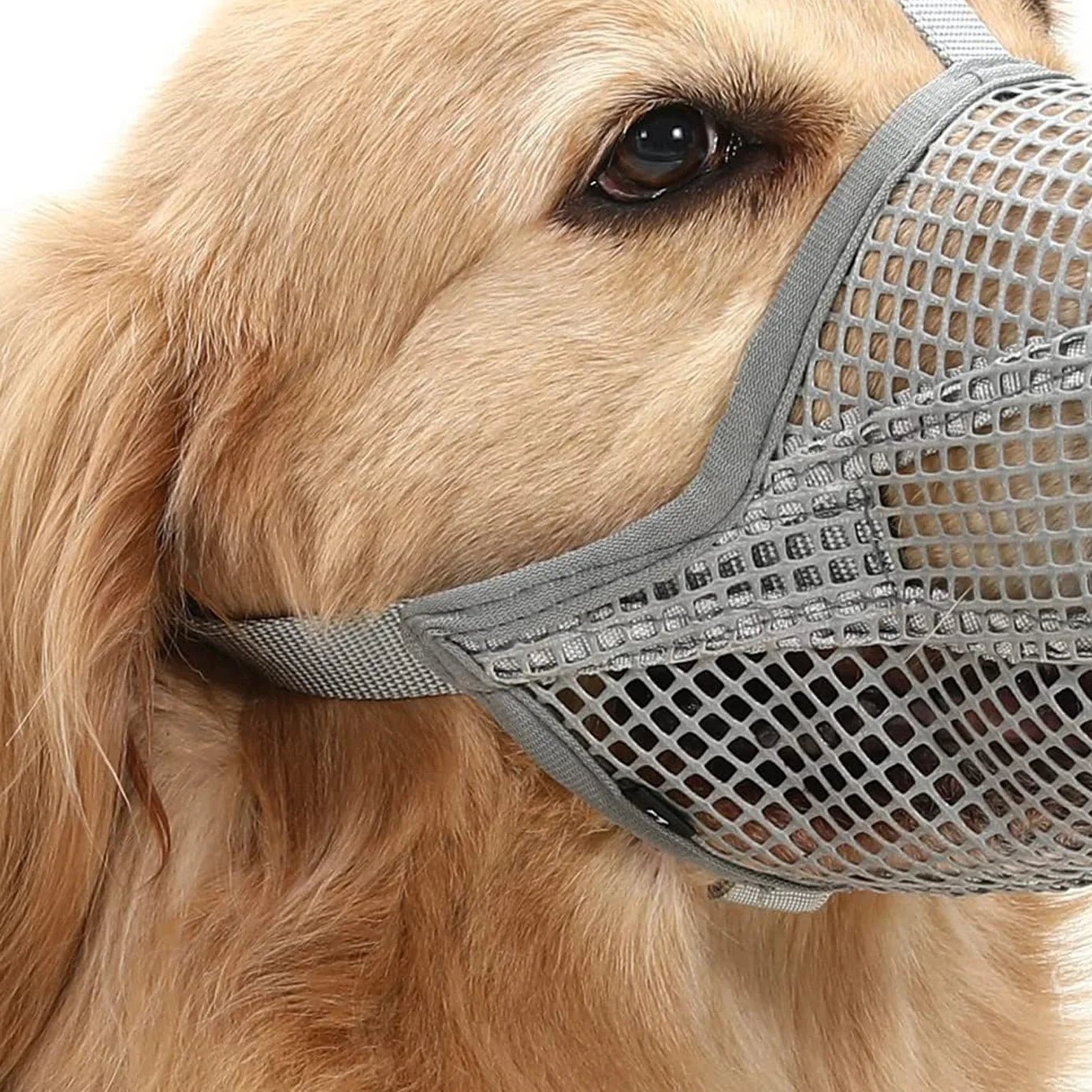 Pet Dog Muzzles Adjustable Breathable Dog Mouth Cover Anti Bark Bite Mesh Dogs Mouth Muzzle Mask For Dogs Long Mouth Doggy Use - Checkouts UK