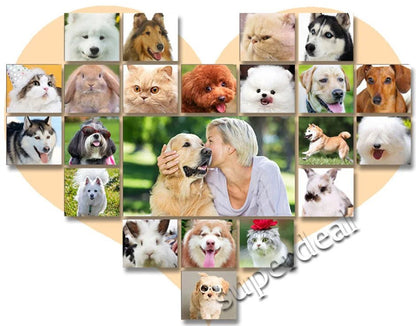 Professional Dog Hair Clipper All Metal Rechargeable Pet Trimmer Cat Shaver Cutting Machine Puppy Grooming Haircut Low Noice - Furbury