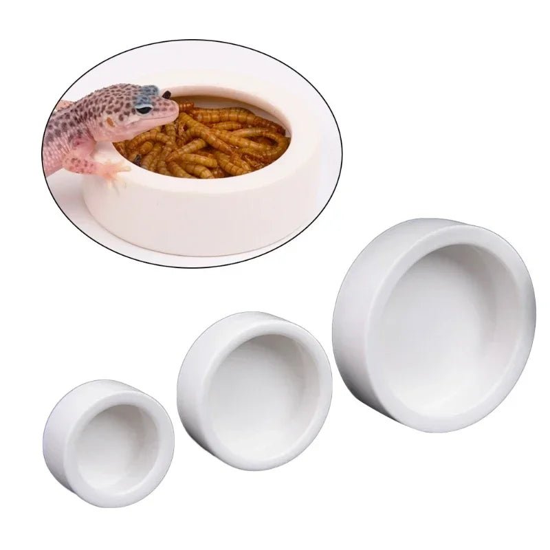 Reptile Food Bowl Anti - Escape Ceramic Feeder Dish Reptile Water Bowl for Hermit Crab Leopard Gecko Chameleon Corn Snake Y5GB - Furbury