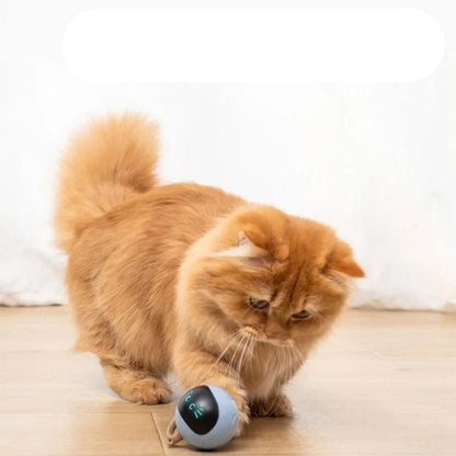 Smart Cat Toy USB Rechargeable Kitten Automatic Ball Toys Electric Jumping Ball Self Rotating Toys For Cat Kitten Dog Puppy Kids - Checkouts UK