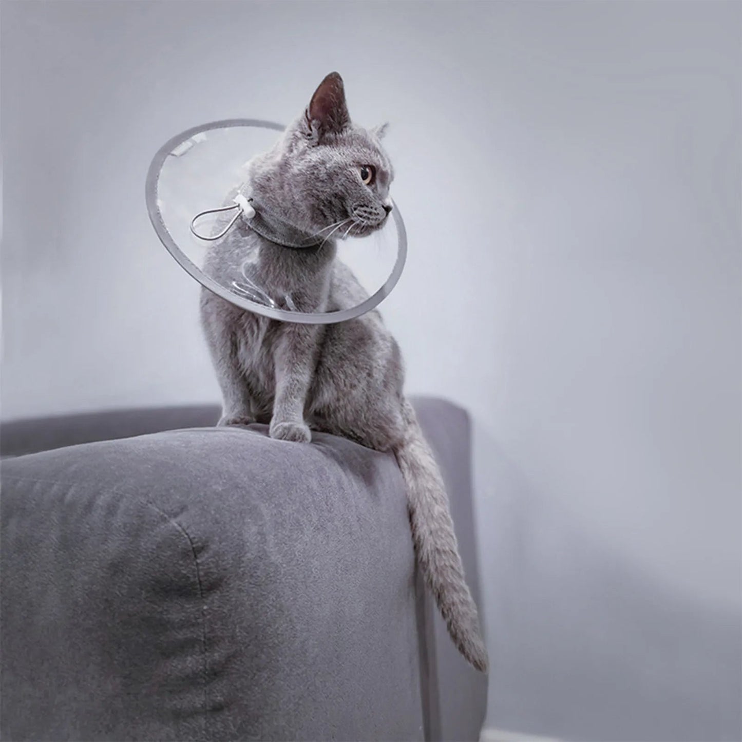 Soft Cat Recovery Collar Protective Adjustable Pet Cone Collar For After Surgery Comfortable Lightweight Elizabethan Collar - Checkouts UK