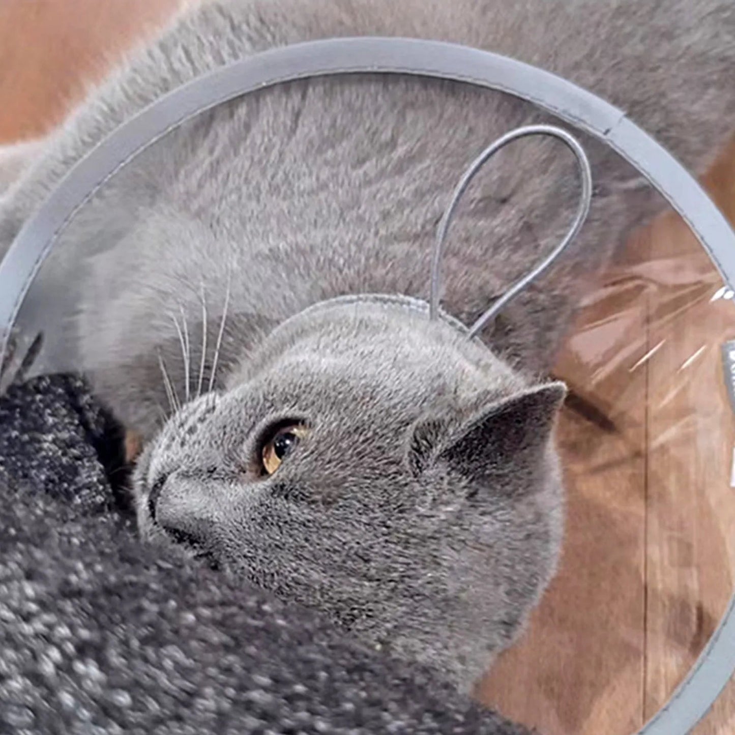 Soft Cat Recovery Collar Protective Adjustable Pet Cone Collar For After Surgery Comfortable Lightweight Elizabethan Collar - Checkouts UK