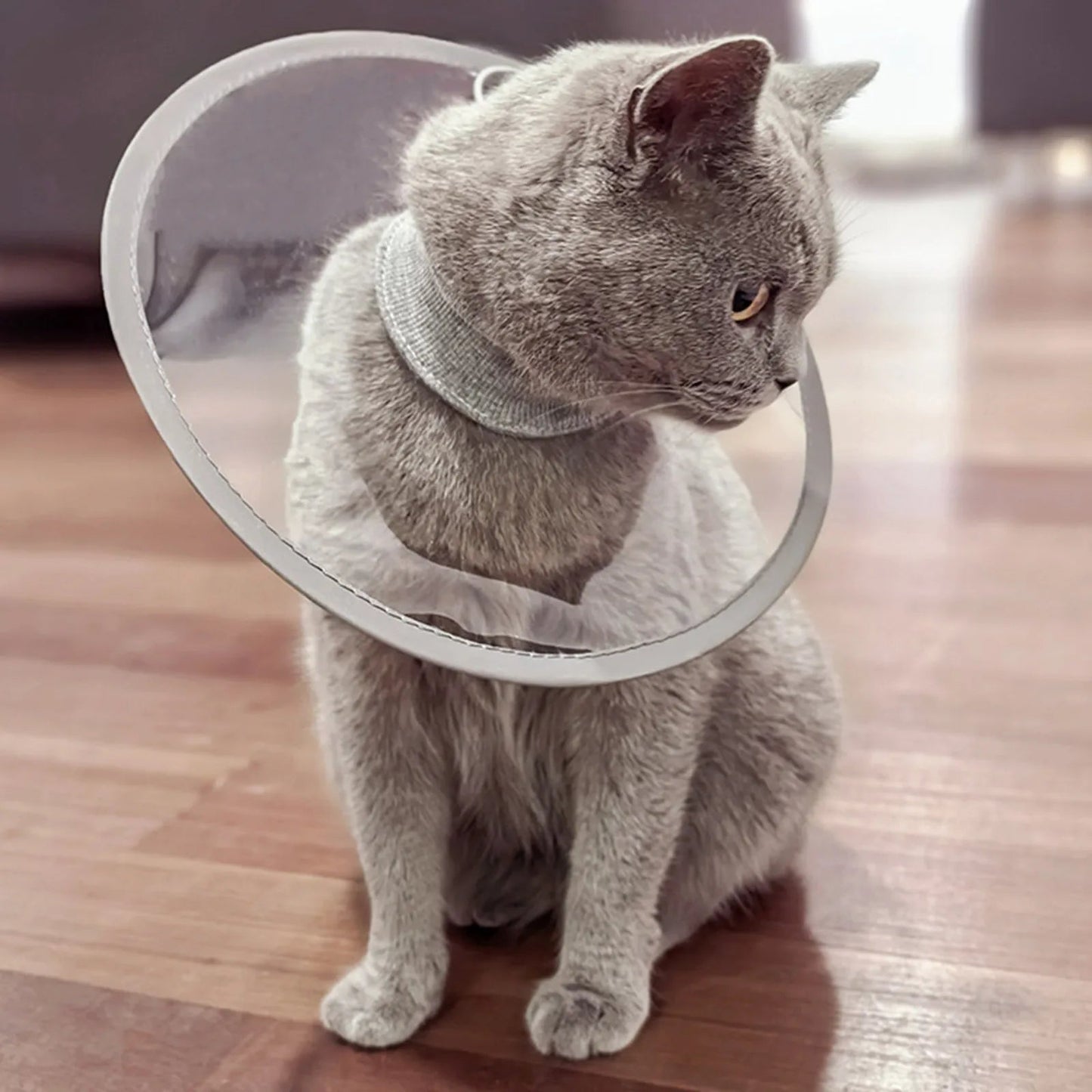 Soft Cat Recovery Collar Protective Adjustable Pet Cone Collar For After Surgery Comfortable Lightweight Elizabethan Collar - Checkouts UK