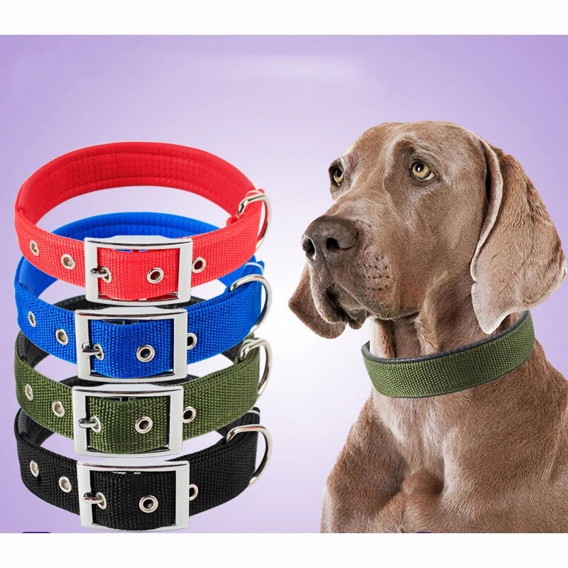 Solid Dog Collars Nylon Dog Collar For Small Medium Large Dogs Teddy Keji Pitbull Bulldog Beagle - Checkouts UK