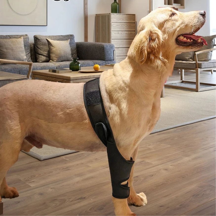 Universal Hip Brace For Dogs Dog Knee Brace Made With Breathable And Elastic Fabric Knee Brace Dog Legs Protector Pet Supplies - Checkouts UK
