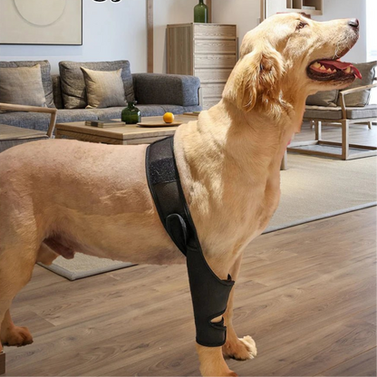 Universal Hip Brace For Dogs Dog Knee Brace Made With Breathable And Elastic Fabric Knee Brace Dog Legs Protector Pet Supplies - Checkouts UK