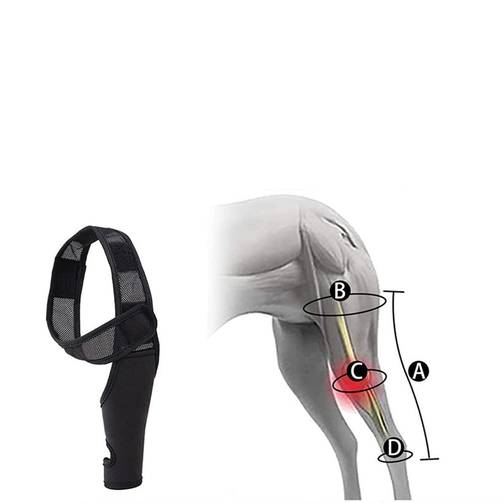 Universal Hip Brace For Dogs Dog Knee Brace Made With Breathable And Elastic Fabric Knee Brace Dog Legs Protector Pet Supplies - Checkouts UK