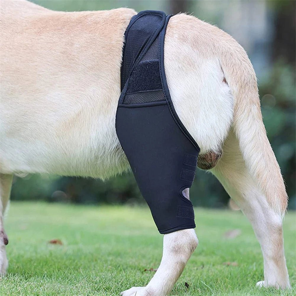 Universal Hip Brace For Dogs Dog Knee Brace Made With Breathable And Elastic Fabric Knee Brace Dog Legs Protector Pet Supplies - Checkouts UK