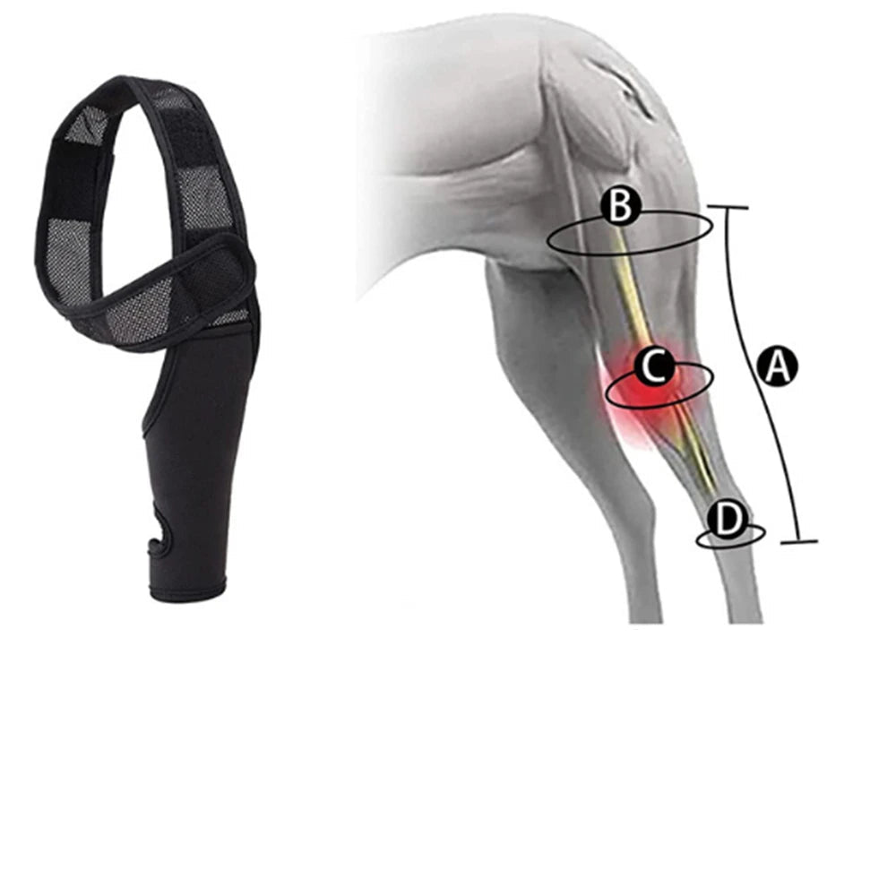 Universal Hip Brace For Dogs Dog Knee Brace Made With Breathable And Elastic Fabric Knee Brace Dog Legs Protector Pet Supplies - Checkouts UK