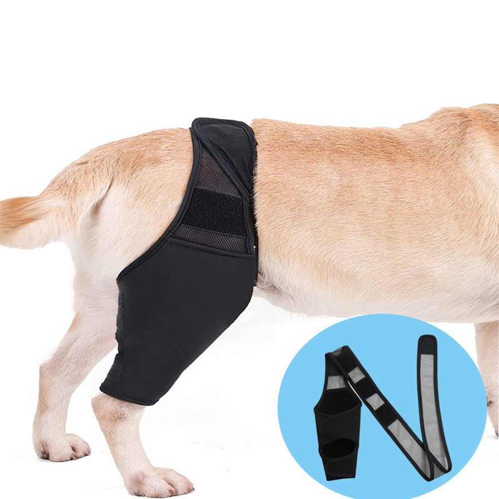 Universal Hip Brace For Dogs Dog Knee Brace Made With Breathable And Elastic Fabric Knee Brace Dog Legs Protector Pet Supplies - Checkouts UK