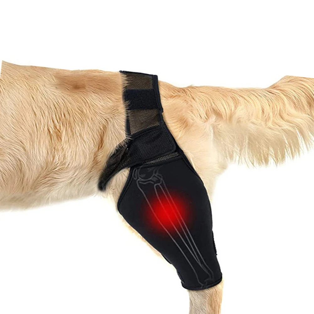 Universal Hip Brace For Dogs Dog Knee Brace Made With Breathable And Elastic Fabric Knee Brace Dog Legs Protector Pet Supplies - Checkouts UK