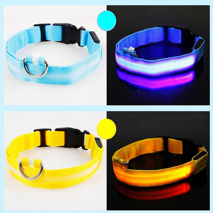 USB Rechargeable Luminous Collar Adjustable Led Glowing Dog Collar for Large Small Dogs Cat Night Light Collar Pet Safety Harnes - Checkouts UK