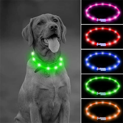 USB Rechargeable Luminous Collar Adjustable Led Glowing Dog Collar for Large Small Dogs Cat Night Light Collar Pet Safety Harnes - Checkouts UK