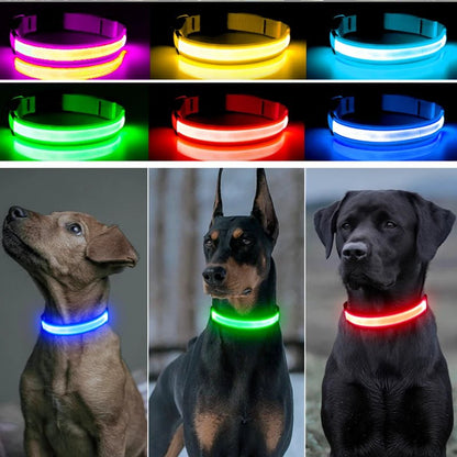 USB Rechargeable Luminous Collar Adjustable Led Glowing Dog Collar for Large Small Dogs Cat Night Light Collar Pet Safety Harnes - Checkouts UK