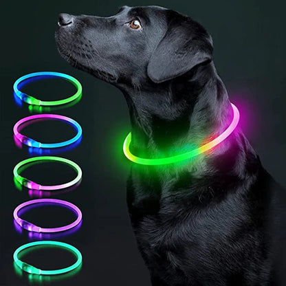 USB Rechargeable Luminous Collar Adjustable Led Glowing Dog Collar for Large Small Dogs Cat Night Light Collar Pet Safety Harnes - Checkouts UK