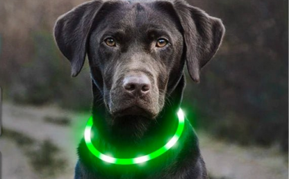 USB Rechargeable Luminous Collar Adjustable Led Glowing Dog Collar for Large Small Dogs Cat Night Light Collar Pet Safety Harnes - Checkouts UK