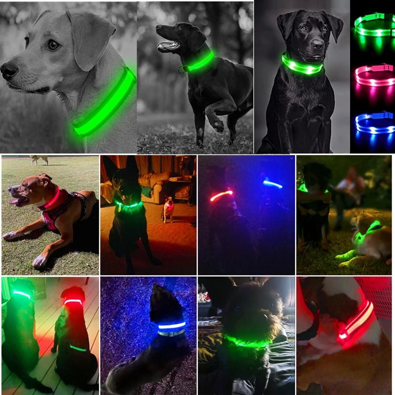 USB Rechargeable Luminous Collar Adjustable Led Glowing Dog Collar for Large Small Dogs Cat Night Light Collar Pet Safety Harnes - Checkouts UK
