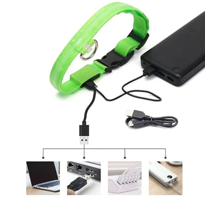 USB Rechargeable Luminous Collar Adjustable Led Glowing Dog Collar for Large Small Dogs Cat Night Light Collar Pet Safety Harnes - Checkouts UK