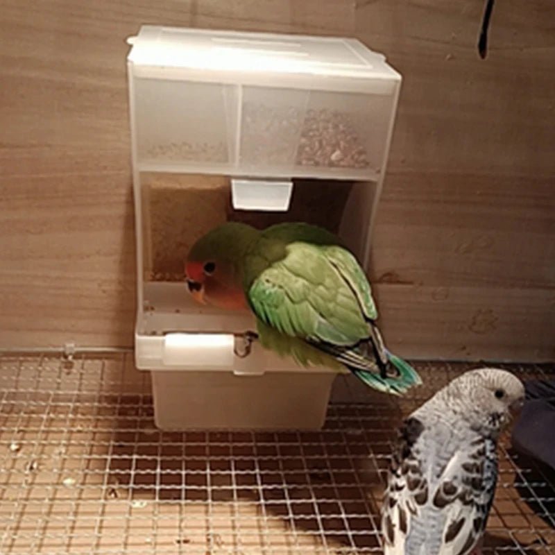 Wholesale Bulk 1 - 5 Pcs Removable Automatic Bird Feeder Pet Bird Container Prevention Splash Food Skin Peony Hanging Bird Feeding Tools - Furbury