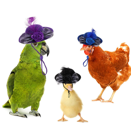 Wholesale Bulk 1 Pc Pet Hen Decorative Hat Velvet Large Silk Flower Topper Hamster Lizard Hat Adjustable Parrot Topper Pet Fashion Clothing - Furbury