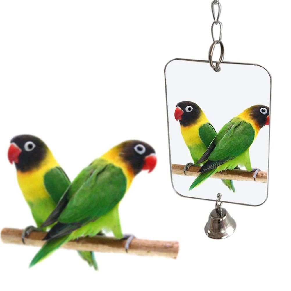Wholesale Bulk 1Pc Parrot Bird Parakeet Hanging Mirror Bell Play Toy Cage Decoration Pet Supplies - Furbury