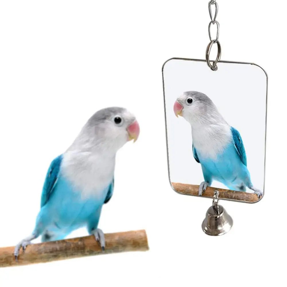 Wholesale Bulk 1Pc Parrot Bird Parakeet Hanging Mirror Bell Play Toy Cage Decoration Pet Supplies - Furbury