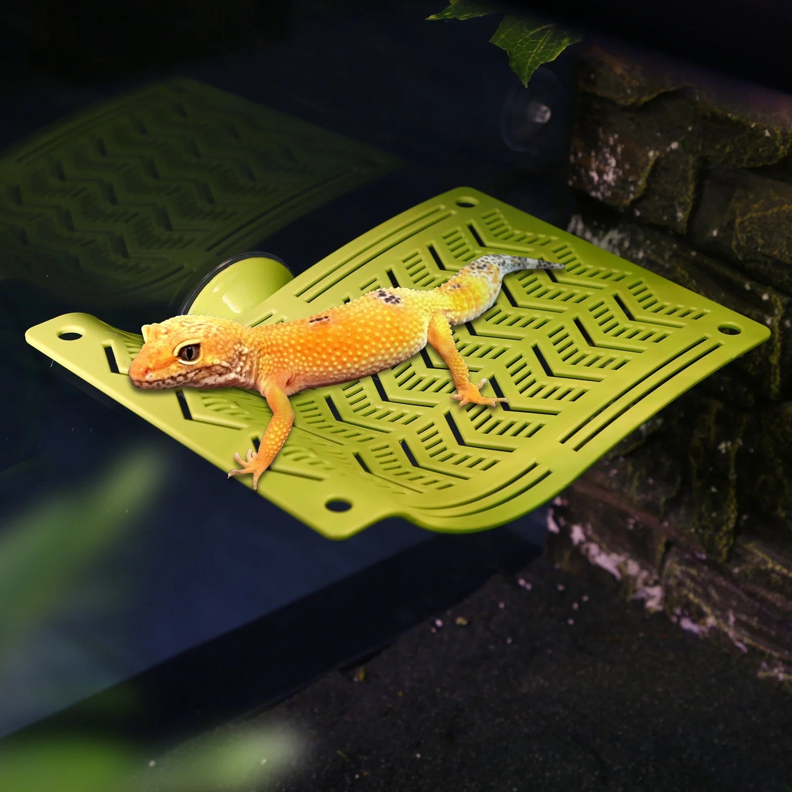 Wholesale Bulk 1pc Reptile Hammock Swing Perch, Durable Plastic Climbing Hanging Bed for Lizards, Geckos, Frogs, Snakes, Spiders - Pet Play - Furbury