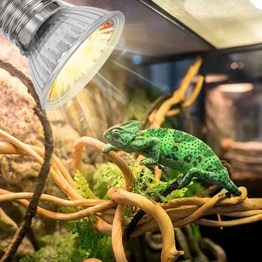Wholesale Bulk 25/50/75W UVB Reptile Lamp Bulb Tortoise Basking UV E27 Bulbs Amphibians Pet Snake Lizard Heating Sunlamp Calcium Supplement - Furbury