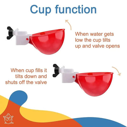 Wholesale Bulk 4PCS Poultry Kit Automatic Chicken Water Feeder Automatic Drinking Bowl Feeding Watering Supplie Chicken Waterer - Furbury