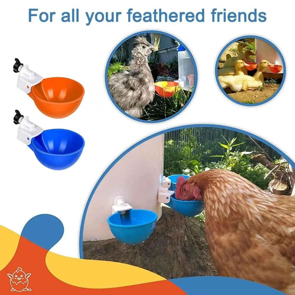 Wholesale Bulk 4PCS Poultry Kit Automatic Chicken Water Feeder Automatic Drinking Bowl Feeding Watering Supplie Chicken Waterer - Furbury