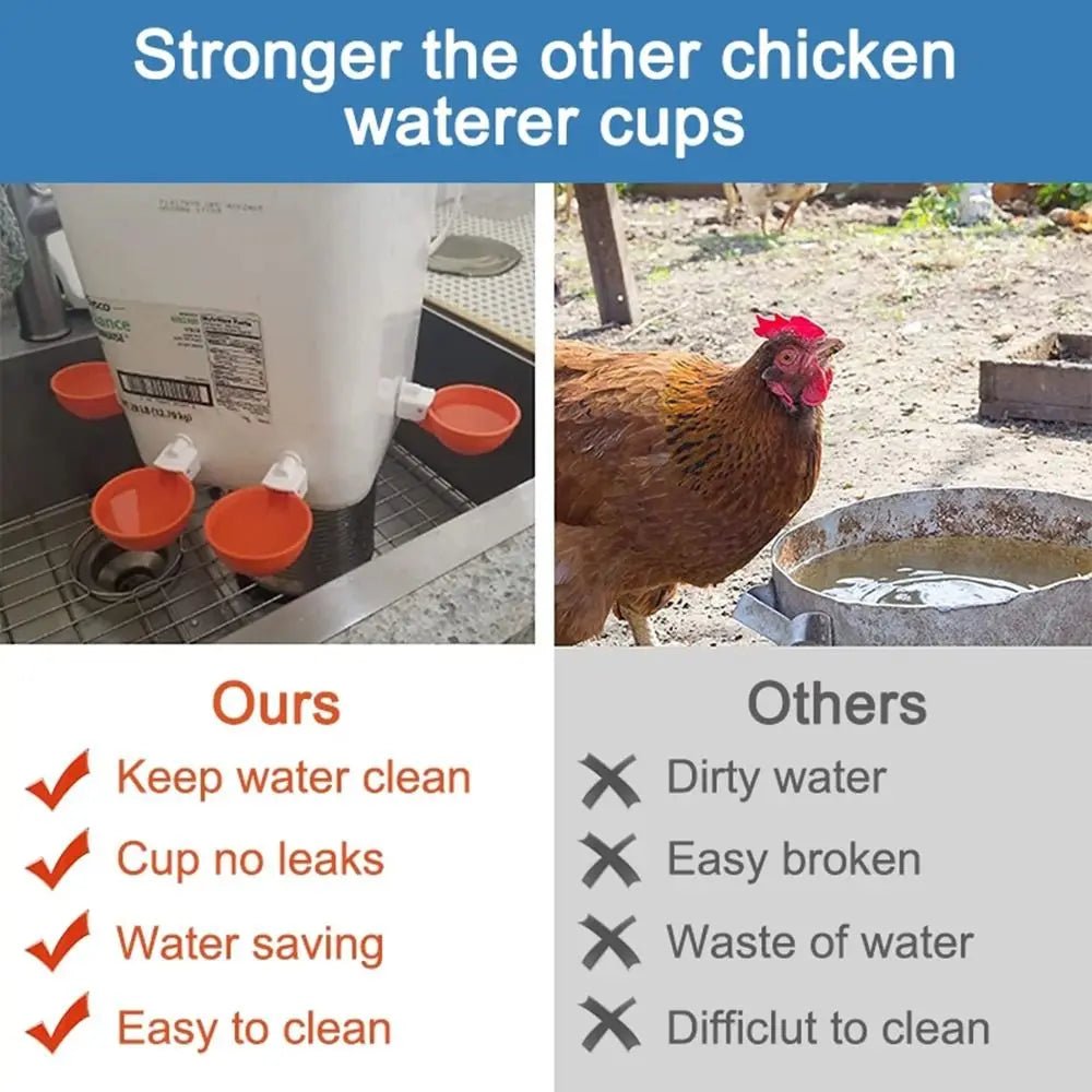 Wholesale Bulk 4PCS Poultry Kit Automatic Chicken Water Feeder Automatic Drinking Bowl Feeding Watering Supplie Chicken Waterer - Furbury