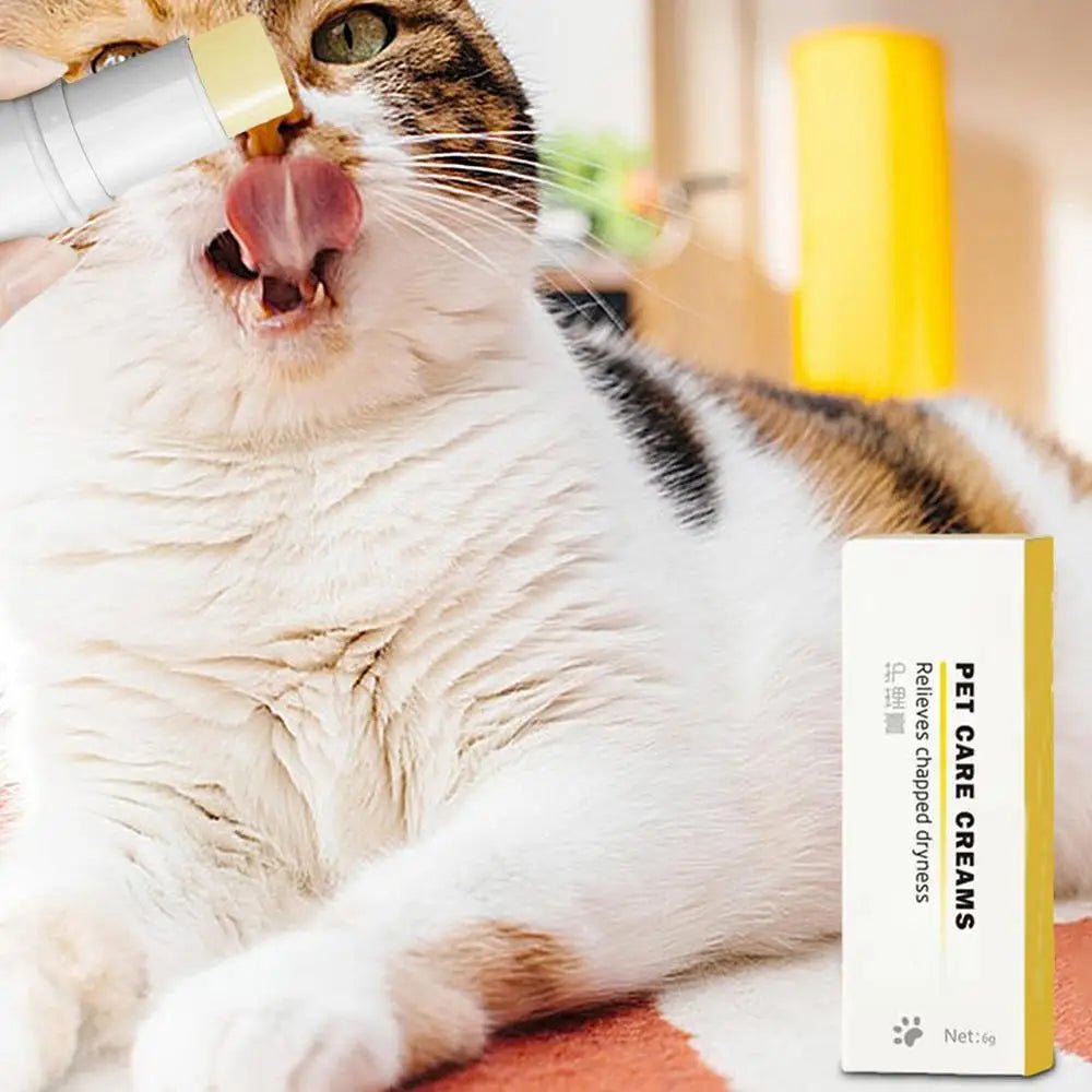 Wholesale Bulk 6g Dog Nose And Paw Balm Dog Paw Cream Cats Dogs Paw Protector Cream Pet Feet Moisturizer Pet Crack Feet Repair Pet Accessories - Furbury