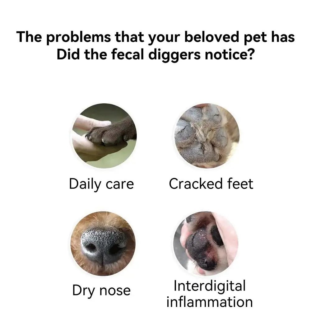 Wholesale Bulk 6g Dog Nose And Paw Balm Dog Paw Cream Cats Dogs Paw Protector Cream Pet Feet Moisturizer Pet Crack Feet Repair Pet Accessories - Furbury