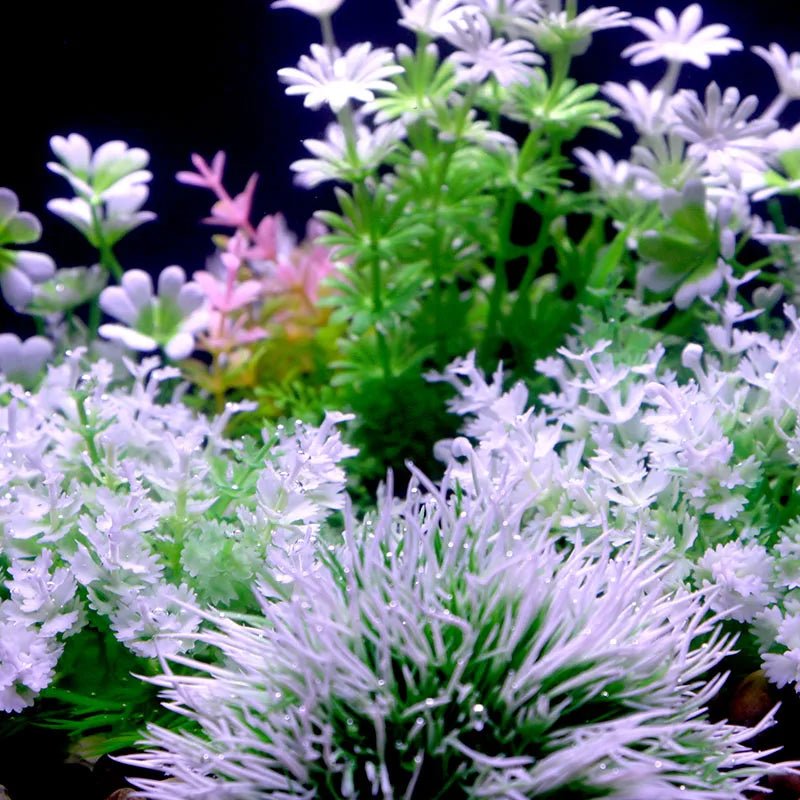 Wholesale Bulk Aquarium Plants Ornaments Plastic Simulation Artificial Water White Yellow Brown Red Grass Fish Tank Decoration Accessories - Furbury
