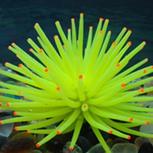 Wholesale Bulk Aquarium Silicone Simulation Artificial Fish Tank Fake Coral Plant Underwater Aquatic Sea Anemone Ornament Decoration Accessory - Furbury