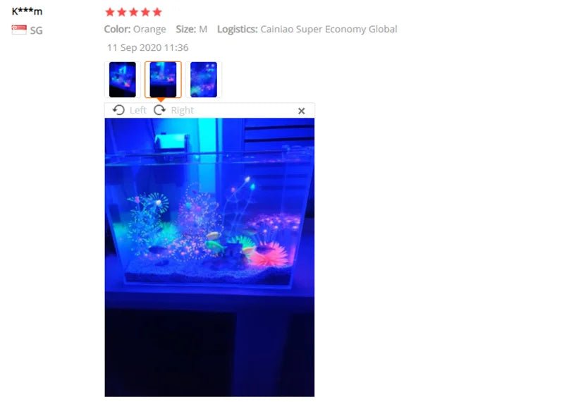 Wholesale Bulk Aquarium Silicone Simulation Artificial Fish Tank Fake Coral Plant Underwater Aquatic Sea Anemone Ornament Decoration Accessory - Furbury