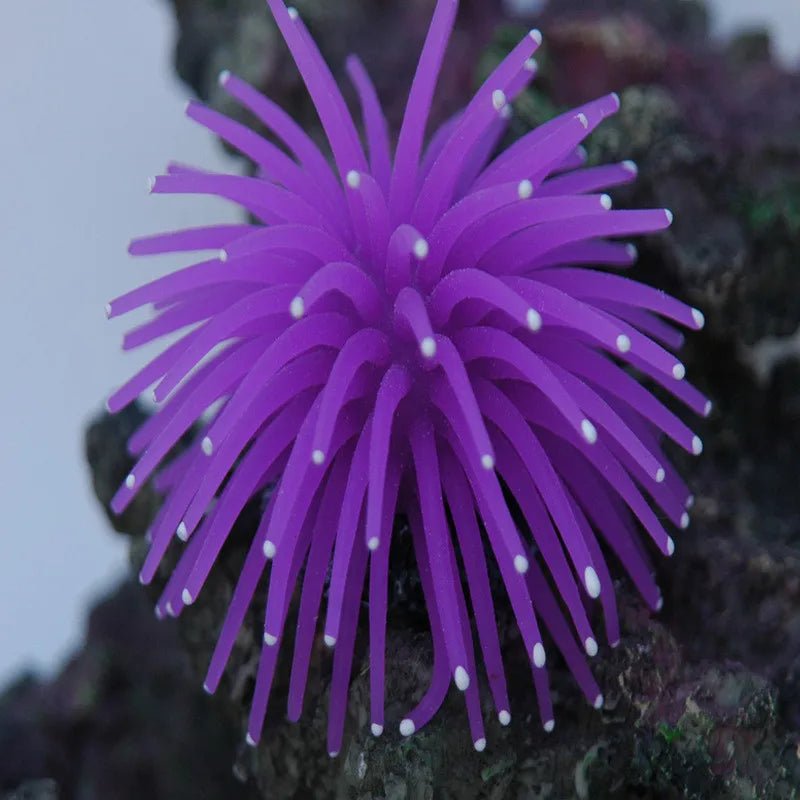 Wholesale Bulk Aquarium Silicone Simulation Artificial Fish Tank Fake Coral Plant Underwater Aquatic Sea Anemone Ornament Decoration Accessory - Furbury