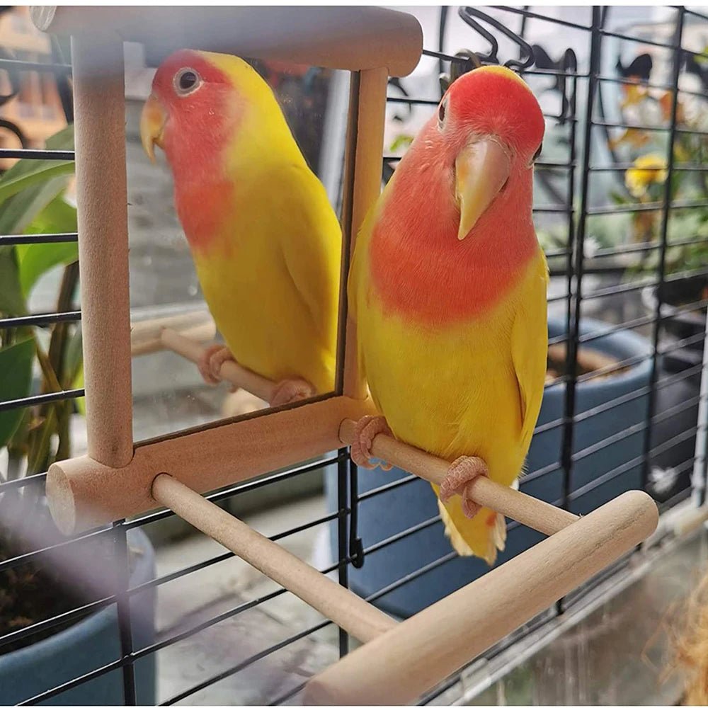 Wholesale Bulk Bird Mirror Wooden Interactive Play Toy With Perch For Small Parrot Budgies Parakeet Cockatiel Conure Lovebird Cage Accessories - Furbury